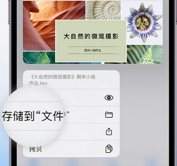 宜都apple维修中心分享iPhone文件应用中存储和找到下载文件