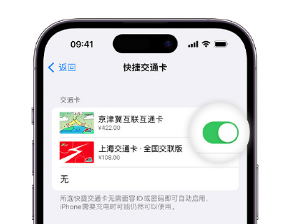 宜都apple维修点分享iPhone上更换Apple Pay快捷交通卡手绘卡面 