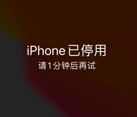 宜都苹果手机维修分享:iPhone 显示“不可用”或“已停用”怎么办？还能保留数据吗？ 