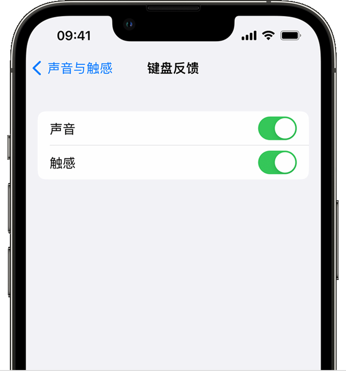 宜都苹果14维修店分享如何在 iPhone 14 机型中使用触感键盘 