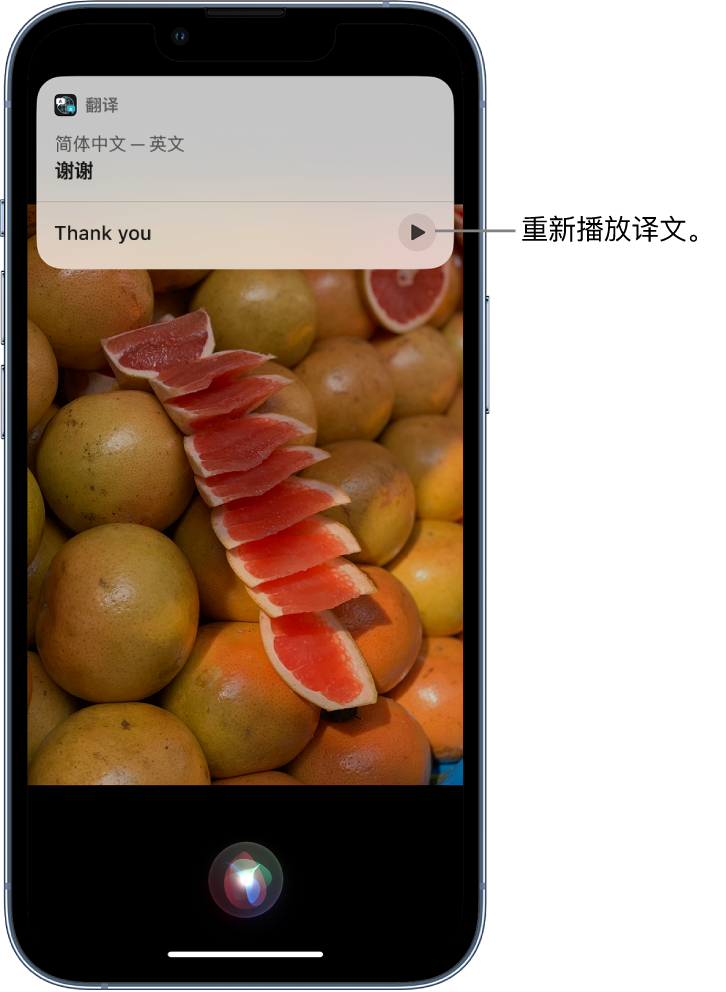 宜都苹果14维修分享 iPhone 14 机型中使用 Siri：了解 Siri 能帮你做什么 