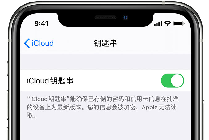 宜都苹果手机维修分享在 iPhone 上开启 iCloud 钥匙串之后会储存哪些信息 