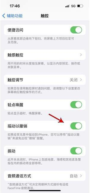 宜都苹果手机维修分享iPhone手机如何设置摇一摇删除文字 